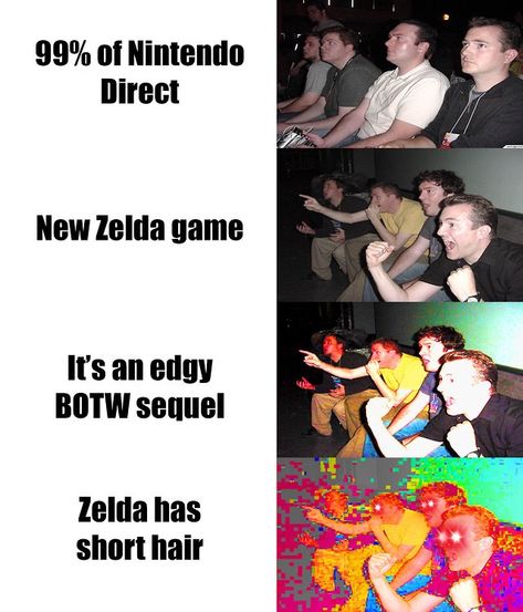 Zelda Short Hair, Zelda With Short Hair, Zelda Short Hair Breath Of The Wild, Loz Twilight Princess Memes, Legend Of Zelda Botw Memes Funny, Zelda Breath Of The Wild Funny Memes, Zelda Funny, Breath Of The Wild, Legend Of Zelda