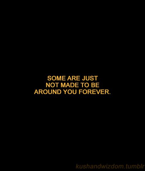 Please Don't Go, Please Dont Go, Life Quotes Love, Caption Quotes, Some Words, True Words, Note To Self, Quote Aesthetic, Let Go