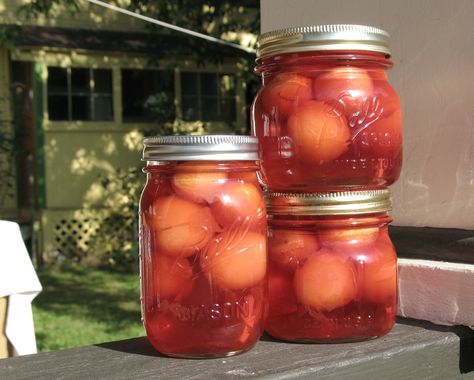 Canned Plums In Syrup Canning Plums, Canned Plums, Veggie Art, Canning Fruit, Pickled Eggs, Lemon Dessert Recipes, Canned Fruit, Sugar Syrup, Tasty Kitchen