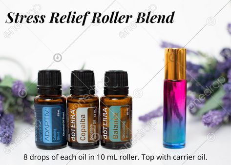 Doterra Balance Roller Blend, Doterra Adaptiv Roller Blend, Doterra Detox, Essential Oil Blends Roller, Essential Oil Roller Bottle Recipes, Doterra Balance, Doterra Blends, Roller Bottle Recipes, Doterra Recipes