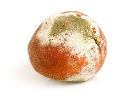 Rotten Orange, Moldy Food, Fruit Bags, Rotten Fruit, Fruit Bag, Ap Art, Background White, Orange Background, Natural Forms