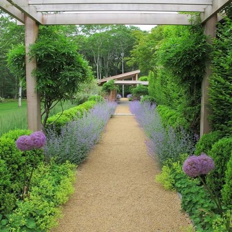 White House Garden, Curved Pergola, Lady's Mantle, Walkways Paths, Pergola Ideas, Retractable Canopy, Garden Pathway, Pergola Designs, Outdoor Inspirations