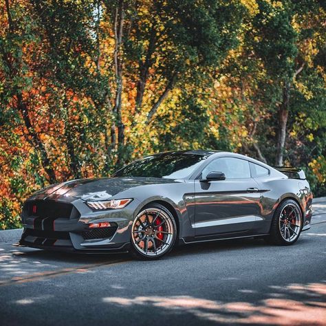 2018 Mustang Gt, 2018 Mustang, Ford Mustang Bullitt, Muscle Cars Mustang, Mustang Bullitt, Ford Shelby, Mustang Fastback, Street Racing Cars, Ford Mustang Shelby