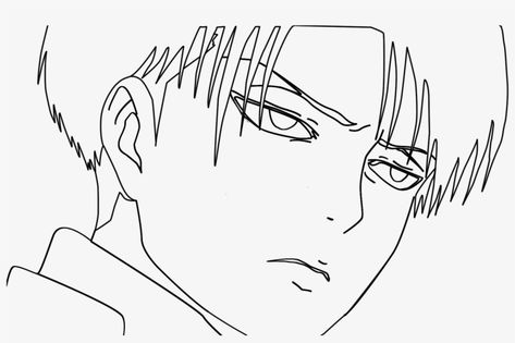 Levi Ackerman Drawing, Anime Nose, Shape Coloring Pages, Anime Lineart, Nose Drawing, Animation Art Sketches, Princess Drawings, Drawing Easy, Sketches Easy