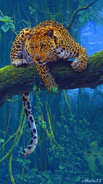 Regnul Animal, Big Cats Art, In The Jungle, Cheetahs, Leopards, Wildlife Art, Nature Animals, الرسومات اللطيفة, Beautiful Cats