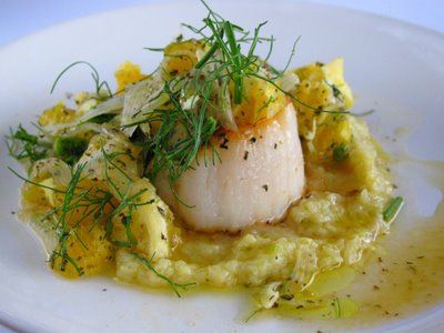 Seared Sea Scallops with a Roasted Fennel and Garlic Cream, and Salad of Shaved Fennel, Mint, Oranges, and Fennel Fronds. Fennel Fronds, Seared Sea Scallops, Spring Garlic, Fennel Recipes, Roasted Fennel, Grilled Bread, Sea Scallops, Fennel Salad, Scallops Seared