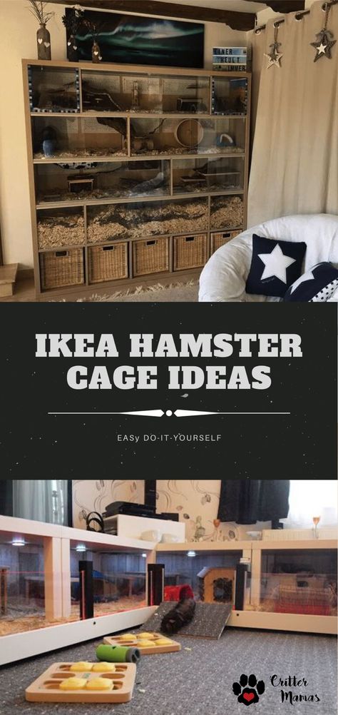 Ikea Hamster Hack, Ikea Hamster Cage Diy, Custom Hamster Cage, Cool Hamster Cages Diy, Natural Hamster Cage Ideas Diy, Kallax Hamster Cage, Ikea Linnmon Hamster Cage, Diy Gerbil Cage, Gerbil Cage Ideas Diy