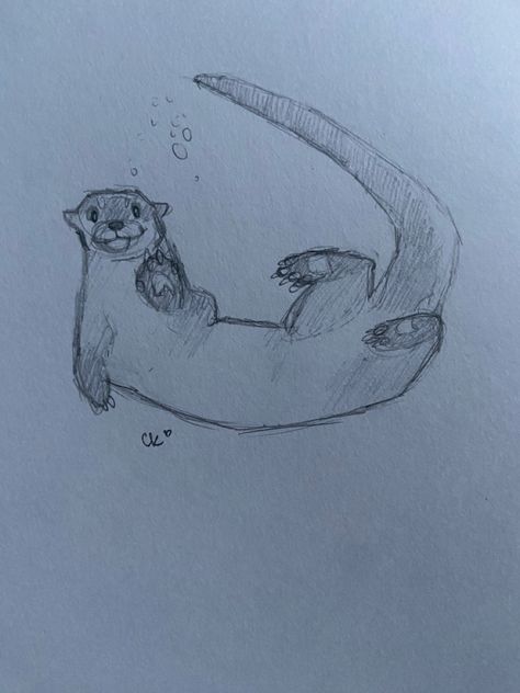 Just a quick little otter sketch for fun Cute Doodles Sea Animals, Simply Drawings Sketches, Drawing References Animals, Cute Sea Otter Drawings, Simple Water Drawing, Cute Otter Drawing Easy, Otter Sketch Easy, Sea Otter Sketch, Simple Otter Drawing