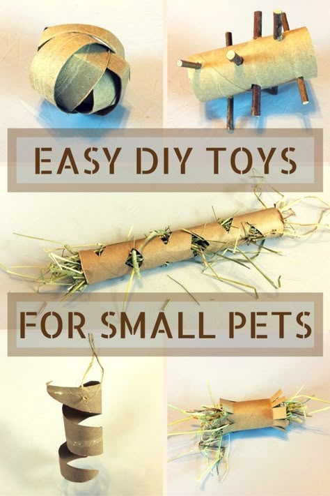 Diy Bunny Toys, Guinea Pig Diy, Hamster Diy, Pet Rabbit Care, Pet Bunny Rabbits, Rat Toys, Hamster Toys, Bunny Care, Animal Supplies