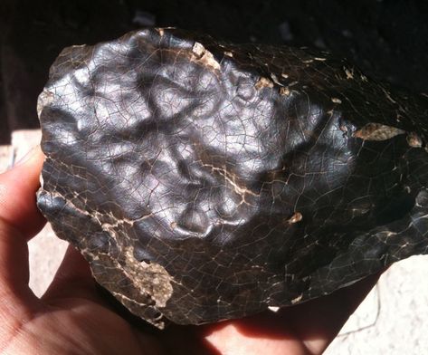 Beautiful meteorite with fresh fusion crust and contraction cracks. Genuine rocks from space available at Galactic Stone & Ironworks. Meteorite For Sale, Washington University In St Louis, Space Rocks, Stone World, Washington University, Geology Rocks, Rock And Pebbles, Cool Rocks, Sahara Desert