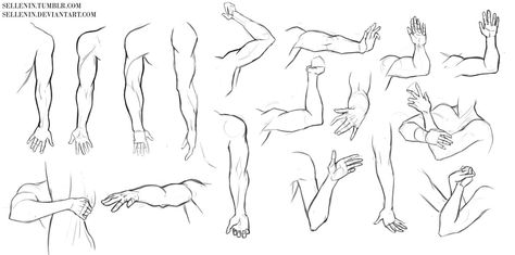 Arms and hands reference by Sellenin.deviantart.com on @DeviantArt Leg Reference, Hands Reference, Arm Drawing, Drawing Help, Fandom Art, Male Torso, Reference Sheet, Hand Reference, Anatomy Drawing