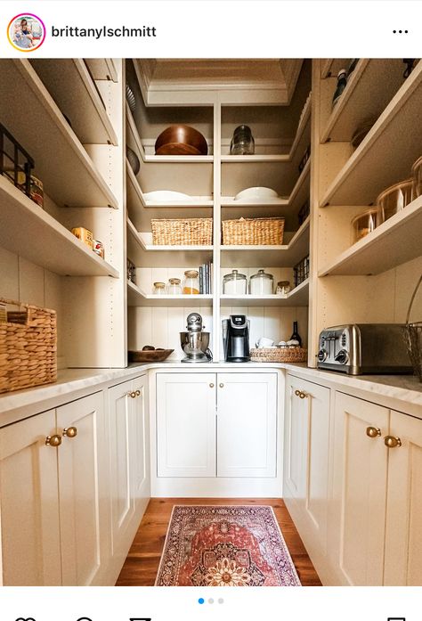 Long Narrow Pantry Design, Long Narrow Pantry, Narrow Pantry, Pantry