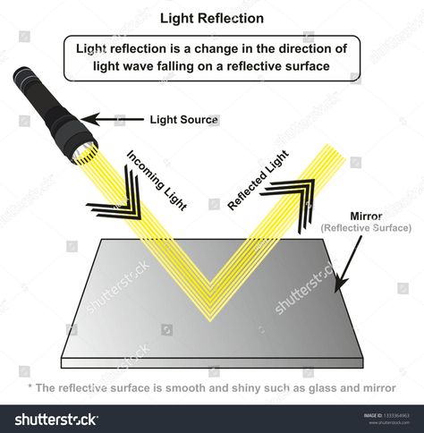 Light Reflection infographic diagram with example of light source where incoming rays reflected on a smooth shiny mirror surface for physics science education #Ad , #affiliate, #source#light#rays#incoming Reflection Examples, Infographic Diagram, Reflection Of Light, Photography Business Cards, Mirror Surface, On The Plane, World Geography, Light Rays, Light Wave