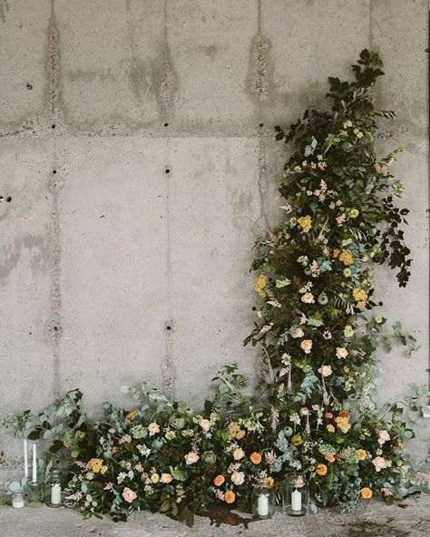 Stunning wedding ceremony backdrop with a beautiful cottage garden feel to it by swallows and damsons xx We are over on @designsponge today talking about our wild wall installation for @s1artspace Pop over and hear about this incredible space! Photo by @indiahobson **link in profile :) Modern Ceremony Backdrop, Floral Installation, Wedding Venue Los Angeles, Flower Installation, Wedding Ceremony Backdrop, Reception Flowers, Inexpensive Wedding Venues, Ceremony Inspiration, Climbing Wall