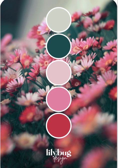 Six Colour Palette, Bright Colour Palette, Colour Wall, Color Schemes Colour Palettes, Color Palette Bright, Brand Color Palette, Design Seeds, Color Palette Design, Color Balance