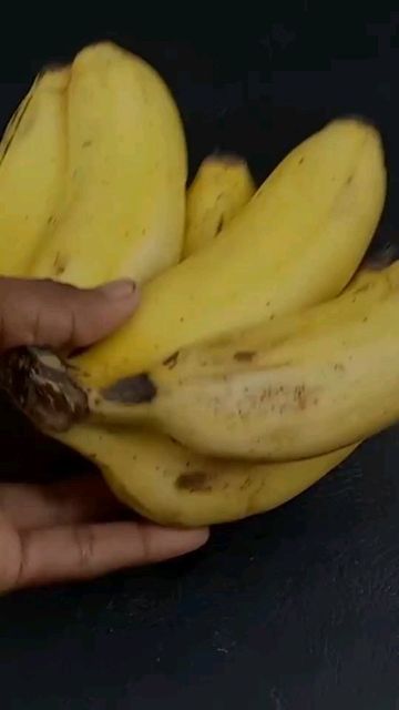 How To Grow Bananas, Growing Fruit Trees, Weird Food, Growing Fruit, Chef Life, Fruit Trees, How To Grow, Bananas, Follow For More