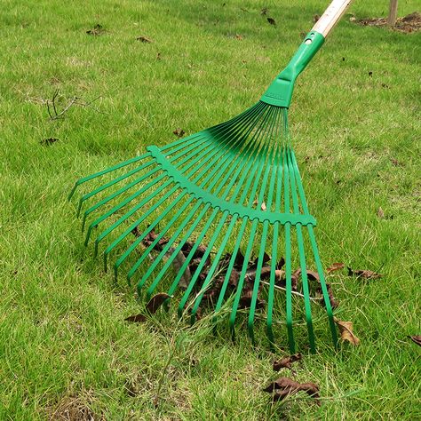 Designed with precision and efficiency in mind, this rake is perfect for maintaining your garden's beauty. The 30 teeth provide optimal coverage, ensuring no leaf or debris is left behind. Lightweight and durable, it's a must-have tool for any gardening enthusiast. Get yours today and experience the difference! 🌱🛠️ #gardeningtools #gardenmaintenance #gardenrake #costcofinds #gettingold #manlikedave #gardeningtips #mantings #gardenleaves #gardeninspo #gardenideas Rake Head, Costco Finds, Garden Rake, Grasses Landscaping, Garden Maintenance, Must Have Tools, Steel Material, High Carbon Steel, Lawn And Garden