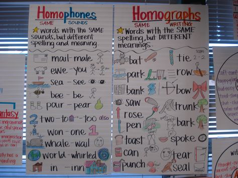 homophones and homographs Homographs Anchor Chart, Homophone Activities, Homophones Anchor Chart, Ela Anchor Charts, Multiple Meaning Words, Classroom Anchor Charts, Reading Anchor Charts, 4th Grade Reading, 3rd Grade Reading