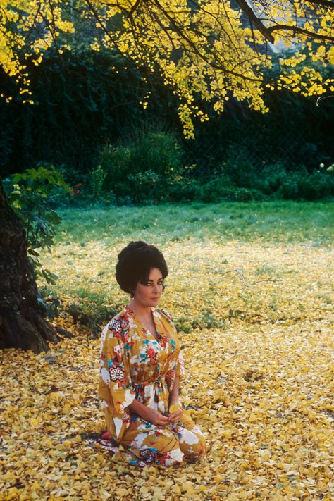 9 Rarely Seen Photographs Of A Young Elizabeth Taylor | British Vogue Young Elizabeth Taylor, Michael Wilding, Terry O Neill, Night Music, Liz Taylor, Peter The Great, Cecil Beaton, Late Autumn, British American