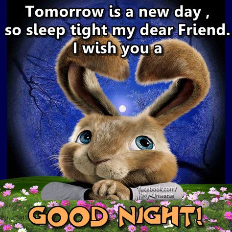 Tomorrow is a new day, so sleep tight my dear friend. I wish you a good night Sleep Tight Quotes, Nighty Night Quotes, Sweet Dreams Sleep Tight, Good Night Qoutes, Good Night My Friend, Good Night To You, Good Night Prayer Quotes, Good Night Dear, Good Night Sleep Tight