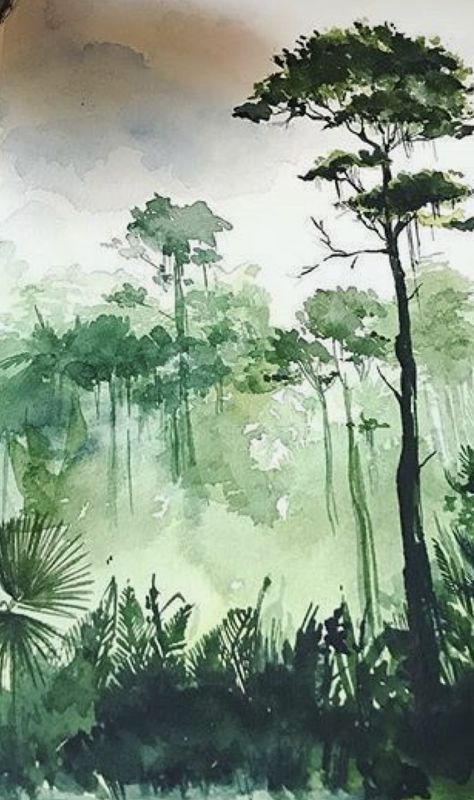 Jungle Tattoo, Costa Rica Art, Painting Trees, Diy Watercolor Painting, Painting Classes, Watercolor Art Lessons, Diy Watercolor, Painting Tutorials, Watercolor Wall Art