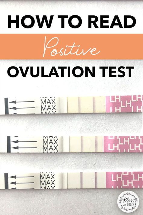 If you are trying to conceive, tracking your ovulation is such an important step you DON'T want to miss. So, how do you know if your ovulation test is positive? Check out my tips on reading your LH test strips! #Ovulation #GettingPregnant #TryingToConceive How To Track Ovulation Cycle, Ovulation Test Progression, Ovulation Tracking Journal, Conceive Chart, Tracking Ovulation, Ovulation Signs, Ovulation Symptoms, Fertile Period, Ovulation Calendar