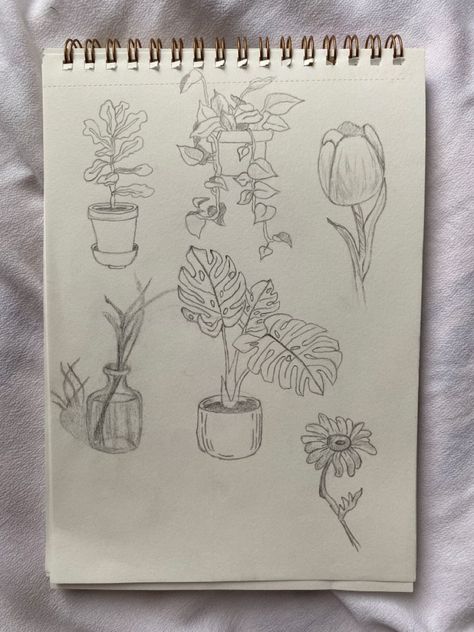 Simple Plant Drawing Ideas, How To Sketch Plants, Houseplant Drawing Simple, Sketchbook Ideas Plants, Sketch Book Plants, Art Sketches Plants, Potted Plant Sketch, How To Draw House Plants, Simple Plant Sketch