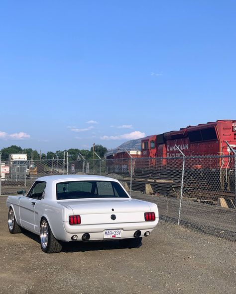 Restomod Mustang, American Muscle Cars Ford, 66 Ford Mustang, Mustang Restoration, White Mustang, Mustang 1966, Mustang 1964, Ford Mustang Classic, 66 Mustang