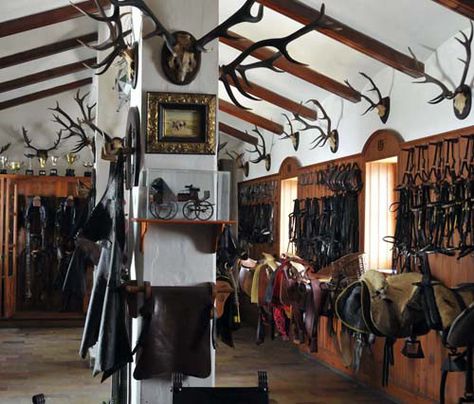 Put all the tack room at the barn in there you would need two of those plus some English Stables, English Tack Room, Saddle Room, Tack Room Organization, English Hunting, Horse Tack Rooms, Tack Rooms, English Tack, Dream Stables