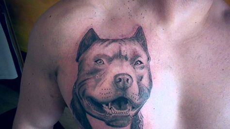 Tatuaje de la raza de perro pitbull - http://www.tatuantes.com/tatuaje-de-la-raza-de-perro-pitbull/ American Bully, Dog Tattoos, Mini Tattoos, Bull Terrier, Pitbull, Bulldog, Nike, Tattoos, Dogs