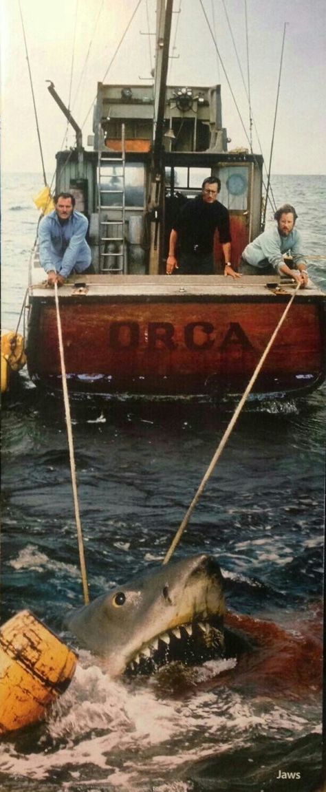 Robert Shaw, Roy Scheider and Richard Dreyfuss aboard the Orca in "Jaws" (1975), directed by Steven Spielberg. Orca Boat Jaws, Jaws Orca Boat, Jaws Halloween, Quint Jaws, Jaws Boat, Jaws Bruce, Matt Hooper, Jaws Film, Shark Movies