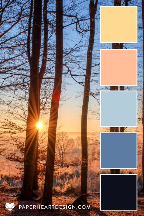 Peach Fuzz Color Palette, Blue And Peach Color Palette, Color Palette Peach, Peach Color Palette, Peach Color Palettes, Pantone 2024, Sunrise Colors, Pantone Colour Palettes, Colour Shades