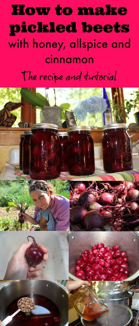 Pickled Beets With Honey, Pickled Beets With Cloves And Allspice, Pickled Beets With Cinnamon, Pickling Spice Recipe For Beets, Cinnamon Pickled Beets, Spiced Beets Recipe, Canning Beets Recipes, Candied Beets Recipe, Sweet Beets Recipe