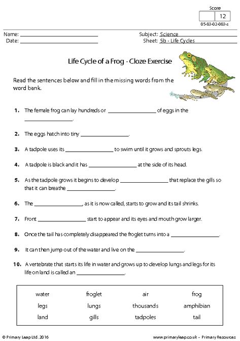 Click to close or click and drag to move Life Cycle Of Animals Worksheet, Life Cycle Of Frog Worksheet, Amphibian Worksheet, Frog Worksheet, Life Cycle Worksheet, Plant Life Cycle Worksheet, Life Cycle Of A Frog, Science Life Cycles, Frog Activities