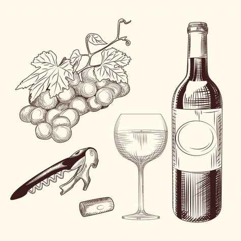 Set di vino disegnato a mano di bicchiere di vino, bottiglia, tappo di vino, cavatappi e uva. Vettore Premium Wine Images, Cookie Art, Rosé Wine Bottle, Grapes, Wine Bottle, Wine, Things To Sell, Art, Design