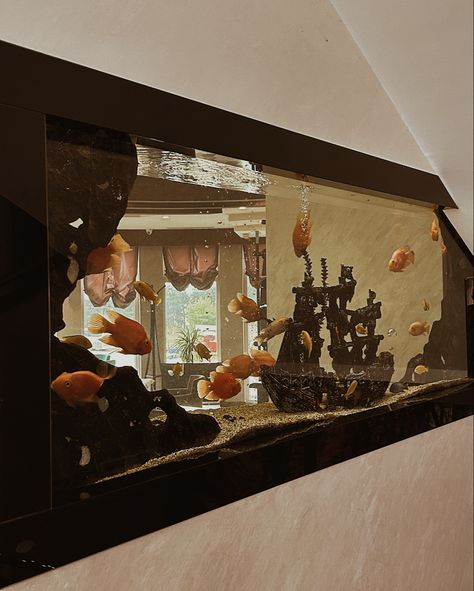 Vintage Fish Tank, The Graduate 1967, Cat Cafe, Aquarium Design, Brown Aesthetic, Dark Academia, Fish Tank, Fish, History