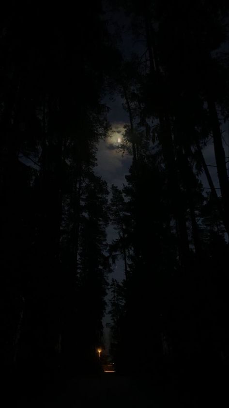 Woods In The Night, Night Time Forest Aesthetic, Woods Night Aesthetic, Dark Night Asthetics, Dark Forest Asethic, Nighttime Forest Aesthetic, Creepy Night Aesthetic, Dark Forest With Moon, Moon Forest Wallpaper