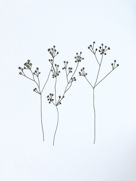 MGRobbinsDesigns. Hand drawn floral botanical cow parsley gypsophila illustration sketchbook Gypsophila Illustration, Gypsophila Drawing, Botanical Line Drawing, Doodle Art Flowers, Cow Parsley, Illustration Sketchbook, Hand Drawn Floral, Illustration Botanique, Drawn Floral