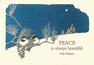 Click to enlarge Peace Christmas Cards, Peace Christmas, New Year Cards, Holiday Box, Letterpress Cards, Small Gift Bags, Bottle Gift, New Year Card, Christmas Box