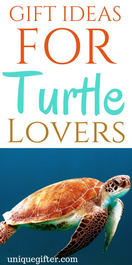 Gift Ideas for Turtle Lovers | Birthday Gift Ideas  doterra teacher gifts, gift for high school teacher, teacher gifts with cricut #christmastime #giftforteacher #teacherjewelry Turtle Gift Ideas, Diy Gifts For Teachers, Turtle Clothes, Guy Friend Gifts, Tea Tattoo, Good Trip, Milestone Birthday Gifts, Beach Towel Gift, Turtle Gifts