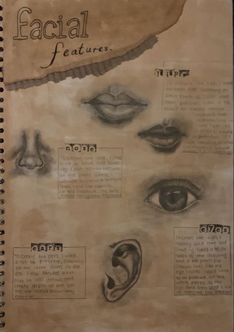 Portraiture Gcse Sketchbook, Portraiture Mind Map Art, Final Peice Ideas Art Gcse Nature, Gcse Art Facial Features Page, Gcse Art Sketchbook Title Page Ideas, Facial Features Sketchbook Page, Eyes Gcse Art, Human Body Gcse Art, Gcse Art Front Page