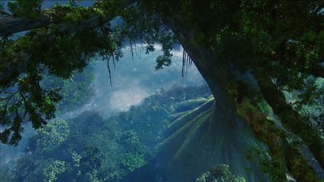 [41+] Avatar Wallpaper HD Widescreen on WallpaperSafari Avatar Film, Alpha Centauri, Stephen Lang, Hd Widescreen Wallpapers, Avatar Films, Avatar Picture, Forest Plants, Pandora Avatar, Parc D'attraction