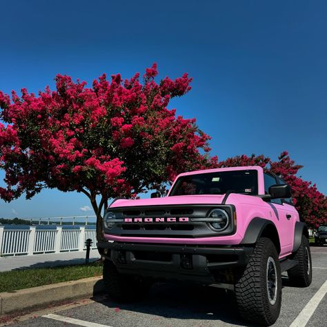 will never miss a 🐎+🌸 photo op #pinkbronco #broncowrap #fordbronco #pinkcar #fordnation #bronco #bigbend #sasquatchpackage #barbiecar #barbie #beltwaybarbie #bronconation #broncosasquatch #liftedbronco #broncolife #americanmade #broncogirlusa #ford #builtfordtough #pinkfordbronco #builtinamerica#broncosofinstagram #broncosofdc #broncosofmaryland #dmvbronco#broncoladies #broncosofvirginia #solomonsisland Pink Bronco Sport, Pink Ford Bronco, Pink Bronco, Country Trucks, Barbie Car, Built Ford Tough, Bronco Sports, Pink Car, Pink Vibes