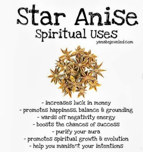 Magical Properties Of Star Anise, Star Anise Magical Properties, Bath Rituals, Magickal Herbs, Witch Herbs, Witch Spirituality, Magic Spell Book, Magic Herbs, Wiccan Spell Book