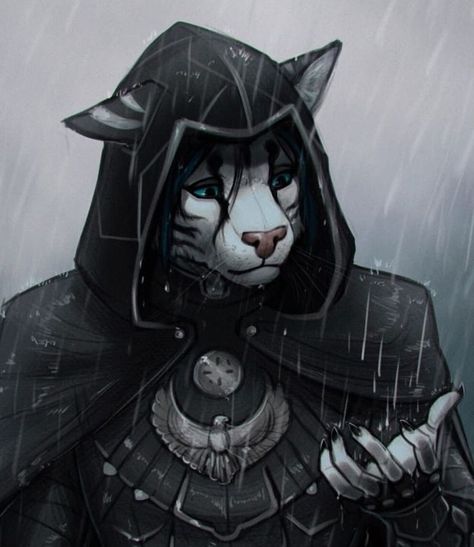 Skyrim Characters, Tabaxi Cleric, Skyrim Oc Art, European Dragon, Dnd Tabaxi Female, Skyrim Character Design, Khajiit Art, Tabaxi Wizard Dnd, Skyrim Oc