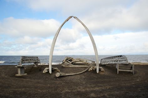 Utqiagvik, Alaska is the northernmost community in the United States, and one of the most unique and interesting towns in the world. Barrow Alaska, Gulf Of Alaska, Polar Climate, Glacier Bay National Park, Random Places, Arctic Ocean, Catching Fish, State Of The Union, Beautiful Sights