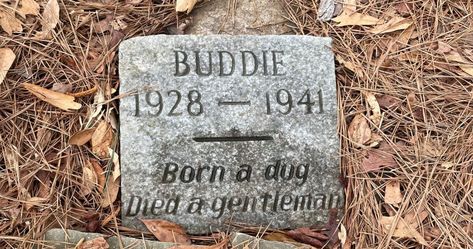 Dog Gravestone, Boy Scout Camping, Memorial Ceremony, Dog Died, Stone Engraving, All Dogs, Irish Setter, A Gentleman, Grave Marker