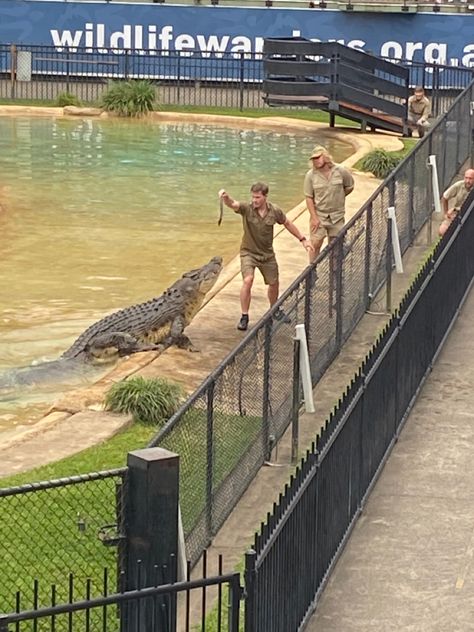 Zoo Worker Aesthetic, Zoo Keeper Aesthetic, Zoo Trip Aesthetic, Sydney Zoo Australia, Australia Zoo Aesthetic, Animal Keeper, Zoo Australia, Australia Zoo Animals, Adventure List