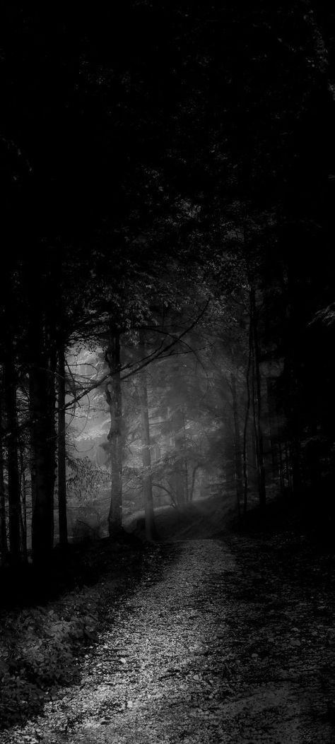 Wallpaper For Halloween, Halloween Wallpapers For Iphone, Spooky Backgrounds, Black And White Photography Portraits, Spooky Background, Filmmaking Inspiration, London Wallpaper, Wallpaper Wa, Halloween Wallpapers