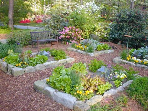 25 Most Creative And Inspiring Rock Garden Landscaping Ideas Front Yard Vegetable Garden, Yard Vegetable Garden, Herb Garden Ideas, No Grass Backyard, Small Vegetable Gardens, Garden Layout Vegetable, Vegetable Garden Ideas, Vegetable Garden Diy, Potager Garden